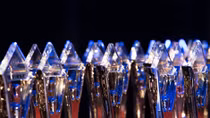 Vì sao VNPT thắng lớn tại giải thưởng quốc tế Stevie Awards?