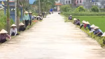 Huyện Quỳnh Phụ hoàn thành 9/9 tiêu chí cấp huyện đạt chuẩn nông thôn mới