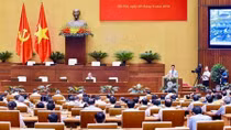 Học Bác từ những điều bình dị (phần III)