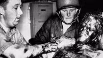 Chiến hạm USS Indianapolis và sự tàn bạo của cá mập