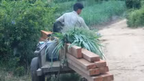 Cán bộ đã tiếp tay cho lâm tặc phá rừng Hòn Đát