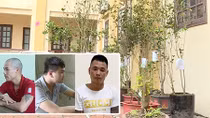 Bắt đạo chích chuyên “sưu tầm” cây mộc