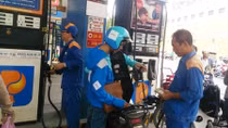 Nghiên cứu đưa xăng E10 vào sử dụng