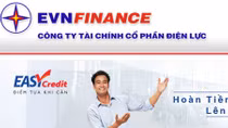 Công ty Tài chính Cổ phần Điện lực nộp ngân sách nhà nước trên 50 tỷ đồng