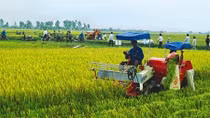 Cả nước có tới 6.400 hợp tác xã nông nghiệp yếu kém