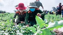 Tuổi trẻ Công an huyện Đắk Glong: ủng hộ vùng dịch hơn 60 tấn nông sản