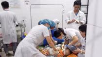 Bé gái 22 tháng tuổi bị chó cắn tử vong