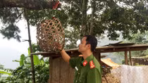 Vụ án đồng rừng và chiếc lồng gà đón sóng điện thoại