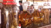 Cơ sở sản xuất rượu ngâm thảo dược không rõ nguồn gốc