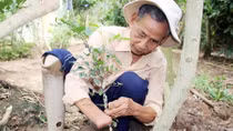 Ông “bụt” giữa đời thường