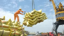 Gạo Việt Nam tạo thương hiệu trên thị trường thế giới
