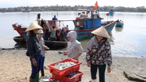 Thủ tục bảo hiểm nhiêu khê khiến ngư dân gặp khó