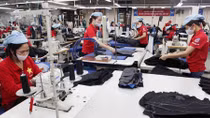 Cổ phần hóa doanh nghiệp nhà nước chậm cả chất và lượng