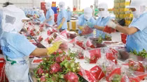 Xuất khẩu sang thị trường Trung Quốc có nhiều thuận lợi