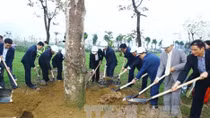 Nhân dân Thủ đô hăng hái thi đua trồng cây xanh