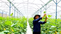 Tinh thần “startup”: bại không nản 