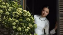 Hương phố!