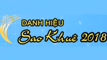Chính thức phát động giải thưởng Sao Khuê 2018