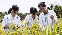 Thiếu hụt trầm trọng nguồn nhân lực chất lượng cao trong lĩnh vực nông nghiệp