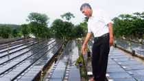 Nghẹn lòng câu chuyện về nghĩa trang đặc biệt của 7.000 hài nhi