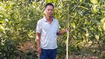 Cần nghiêm trị hành vi hủy hoại nông sản của nông dân