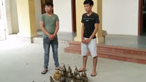 Dựng màn kịch lừa bán đồ cổ giả