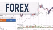 Công an cảnh báo chơi Forex vừa rủi ro vừa vi phạm pháp luật