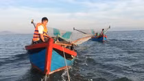 Xử lý tình trạng khai thác thủy sản bằng các nghề cấm