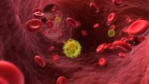 Thêm một hy vọng chiến thắng HIV