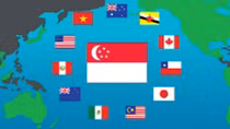 TPP 11 không triệt tiêu sức ép phải cải cách thể chế