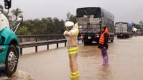 Tươi tắn áo vàng trong lòng du khách