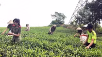Gần dân để hiểu và giúp dân nhiều hơn