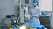 Trung Quốc in mạch máu 3D cấy ghép thành công vào khỉ