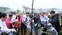 Hà Nội trồng thêm 500 cây hoa anh đào