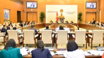 Xem xét các phương án nâng tỷ lệ và độ tuổi của đại biểu chuyên trách trong Quốc hội