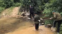 Chuyện tình buồn bên suối Pát Nát
