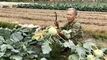 Lại câu chuyện "giải cứu" nông sản