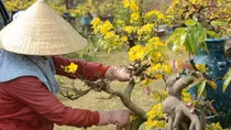 Liên minh kinh tế cá thể - một xu hướng mới