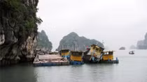 Di chuyển sà lan “đắp chiếu” của Vinashin ra khỏi vịnh Hạ Long
