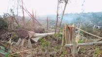Đắk Nông kỷ luật hàng loạt cán bộ