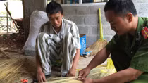 Tội đồ mê đọc sách thánh hiền