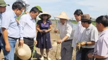 Trả đến 150 triệu đồng/tháng vẫn chưa thu hút chuyên gia và nhà khoa học