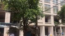 Không để chuyện vi phạm của chủ đầu tư ảnh hưởng đến quyền lợi của người mua nhà