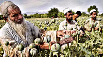 Afghanistan - Chống khủng bố hay chống ma túy?