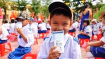 Xung quanh vấn đề “vi chất” trong sữa học đường