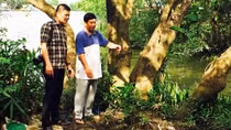 Mất ăn, mất ngủ vì sợ… “hà bá” (!)