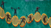 Thiên tài trong gene: Sức bền hay sức mạnh?