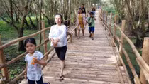 Dù bão giông - hoa hồng vẫn nở
