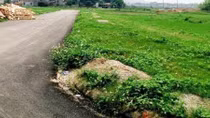 Cựu cán bộ thôn lừa bán đất giãn dân để “tăng thu nhập”