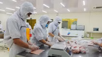 Cơ hội từ Hiệp định thương mại tự do đối với các mặt hàng nông nghiệp ở Cần Thơ